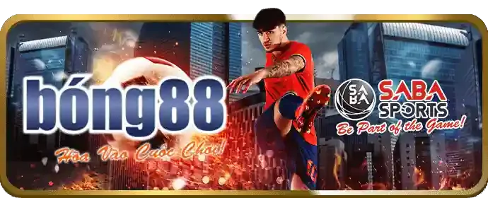 Chính sách Cookie của ek88 win